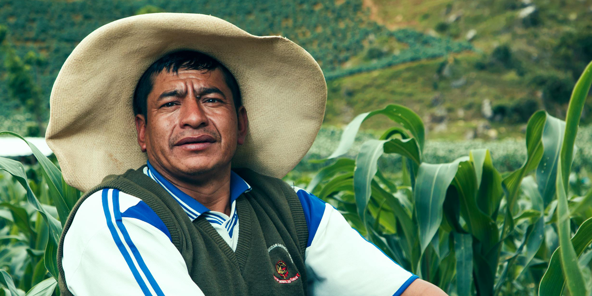 inicio Campesino